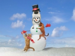 Mr Snowman