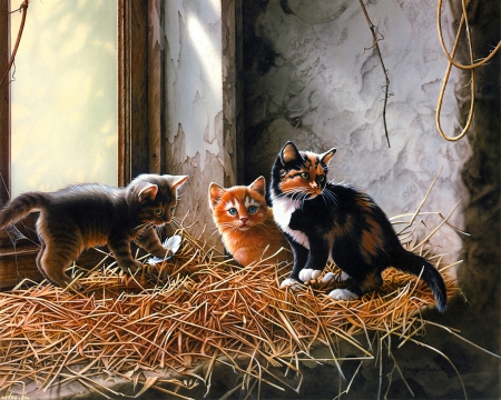 Sweet Kittens - straw, window, kittens, artwork, playful, painting