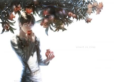 Pomegranate - pretty, anime, guy, boy, male, short hair, eren jaeger, eat, plain, hd, fruit, nice, shingeki no kyojin, attack on titan, realistic, beautiful, simple, beauty, lovely, cool, sweet, cg, white, handsome, shirt, awesome, black hair, eating, sexy, eren