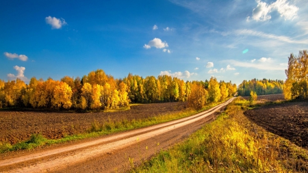 * Beautiful autumn day * - fall, trees, nature, autumn, forest