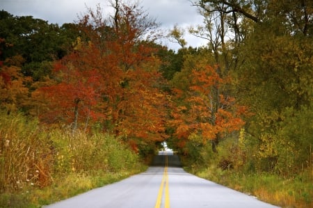 * Autumn * - nature, fall, autumn, forest, road