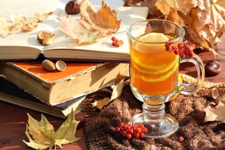 Autumn Tea - nuts, acorns, autumn, fall, tea, leaves, books