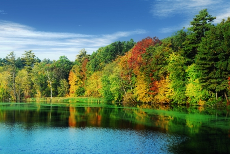 * Beautiful autumn lake * - nature, fall, lake, autumn