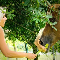 A Cowgirls First Love