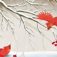 Red Bird and Winter Berries