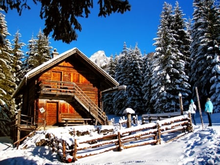 Winter Cottage - wooden, firs, fence, landscape, nature, snow