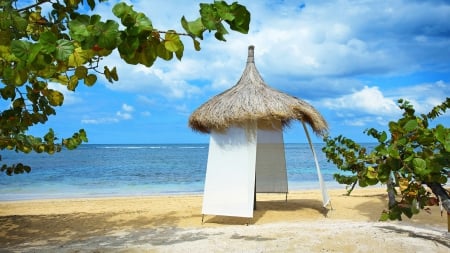 Tropical Beach - nature, oceans, beaches, trees