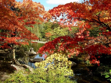 Autumn Park - nature, autumn, trees, parks