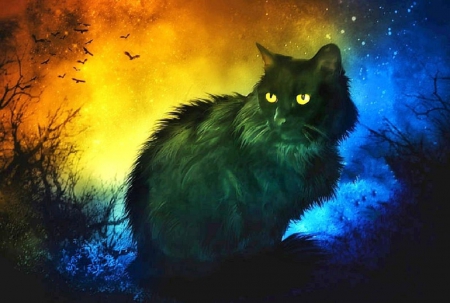 Mysterious Black Cat - black cat, blue, eyes, halloween, night, orange, eerie