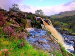 WATERFALLS with FLOWERS