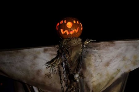 Halloween Scarecrow - artwork, face, night, pumpkin, light, scary