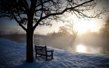 Morning Sunlight on Winter Bench - winter, trees, snow, landscapes