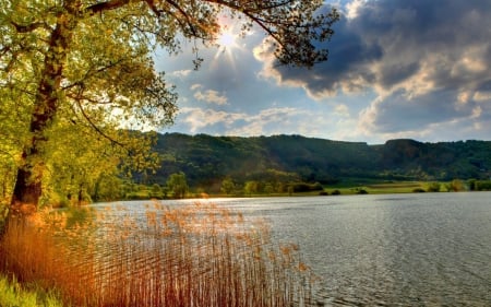 Sunny Day on the Lake - lakes, nature, water, lake