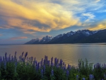 * Grand-Teton-National-Park-Wyoming*