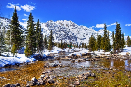 *Grand-Teton-National-Park-Wyoming* - nature, park, sky, trees