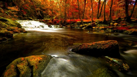 Forest River Flow - river, trees, autumn, falls, forest, rocks