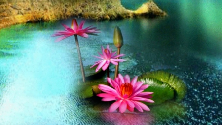 ~*~ Pink Flowers ~*~ - nature, lake, pretty, hd wallpaper, pink flowers, cute