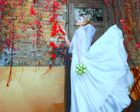 Bride - wall, bride, woman, model