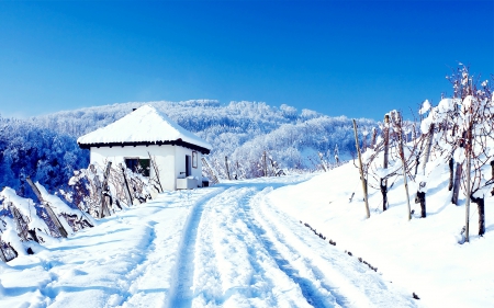 winter cottage - wallpaper, popular, winter, road, cottage, landscapes, nature, snow