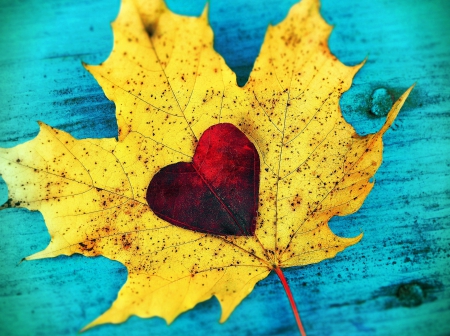 Autumn - woooden, fall, heart, autumn, leaf, leaves