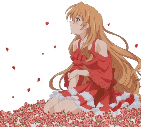 Sweet Cherry - pretty, female, blossom, maiden, sublime, nice, golden time, gown, red rose, hot, beauty, flower, petals, cg, white, e, lady, floral, ot, sexy, anime, elegant, divine, dress, long hair, gorgeous, red, plain, hd, sit, sitting, kaga, anime girl, beautiful, girl, simple, lovely, brown hair, sweet, kaga kouko, angelic, rose