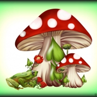 MUSHROOM AND FROG