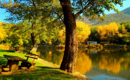 Autumn lake - trees, sunny, pond, beautiful, reflection, rest, colorful, shore, nature, season, autumn, bench, lake, golden, park