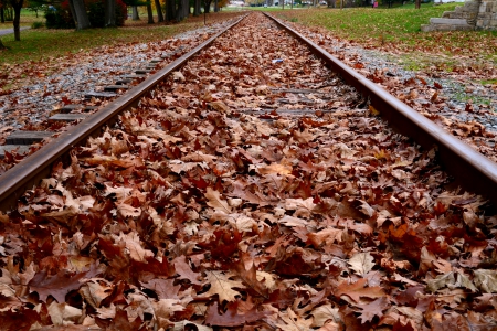 Autumn Rail - autumn leaves, train tracks, railroad, autumn rail