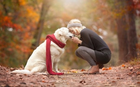 Friends - woman, autumn, hat, girl, scarf, leaf, white, dog, red, animal, orange