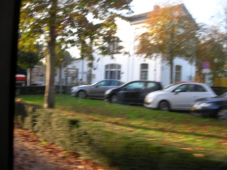 A beautiful November day - Trees, Cars, Bus station, Autumn