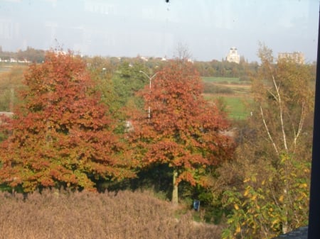 Autumn leaves - Trees, Autumn, Sky, Roof