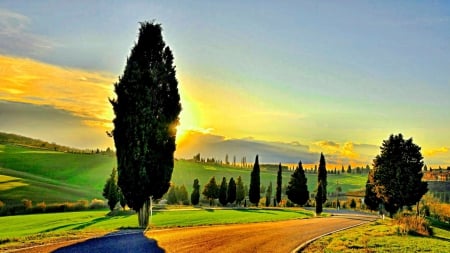 Sun of Tuscany_Italy - street, sky, trees, italy, sun, panorama, countryside, antique, road, view, architecture, old, landscapes, fields, houses, hills, italia, village, town, lights