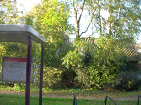 Bus stop - bus, bus stop, street, trees