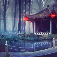 Zen feeling