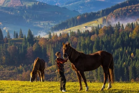 Little Cowboy - boy, trees, mountains, horse