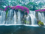 Blue Waterfalls in Hawaii