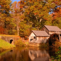 Autumn mill