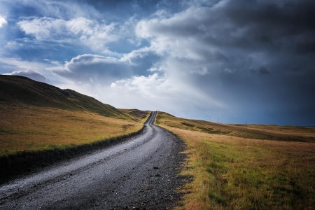 * - road, landscape, field, nature