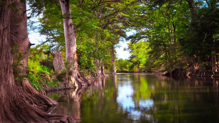 River through the Forest - hdr - water, rivers, forests, trees