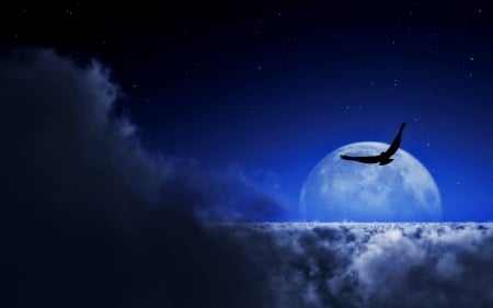 Fly By Night - clouds, moon, bird, blue, landscape, night, 1920x1200, cgi, eagle