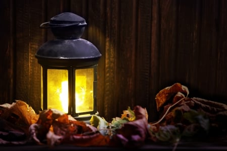 Bright Autumn - wood, autumn, candle, lantern, light, leaves, still life