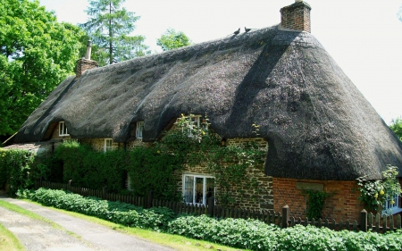 House with Thatched Roof in Wales - thatched roof, houses, architecture, wales