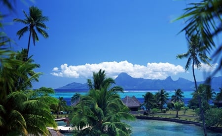 Beautiful Tropical Seascape - palms, nature, seascapes, beaches