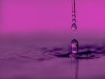 Water drops