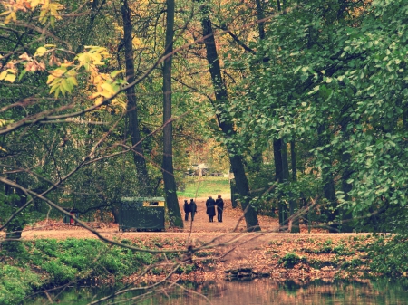 autumn forest - autumn forest, nature, g, beauty