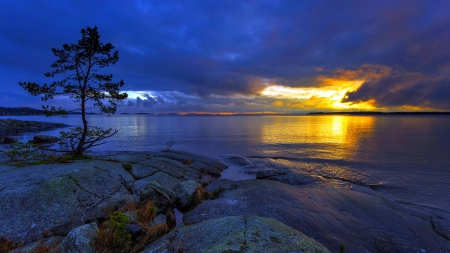 beautiful view - oceans, view, clouds, blue, magic, beautiful, tree, sunset