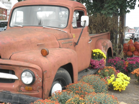 Fall Vegetable Stand - fall, autumn, flowers, truck