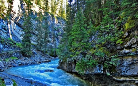 Rocks - landscape - forest, landscape, wild, river, rocks