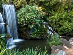 Mayberg Waterfall, Los Angeles