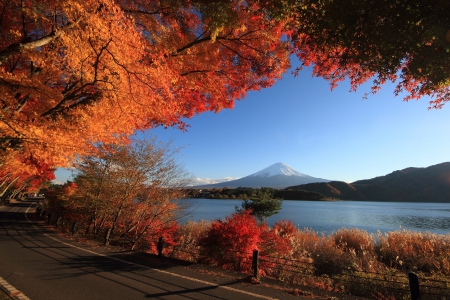 Lakeside Autumn - fall, trees, water, red, road, color, leaves